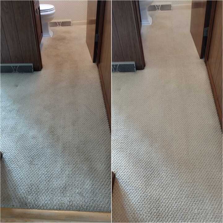 carpet cleaning