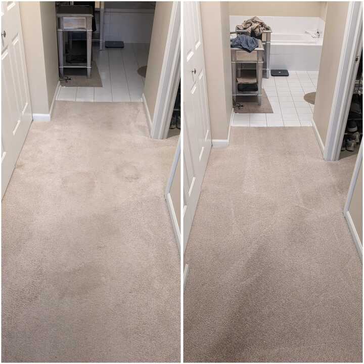 carpet cleaning