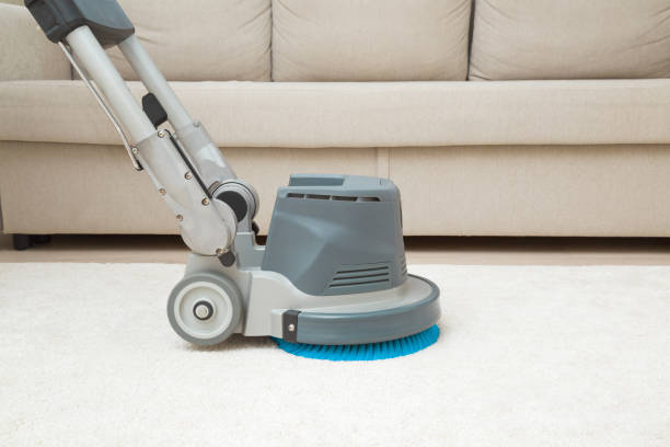 carpet cleaning companies